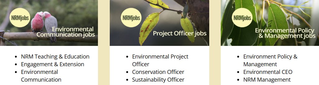 Corporate Broker News -  Online Jobs Board - Environment, Management Sectors