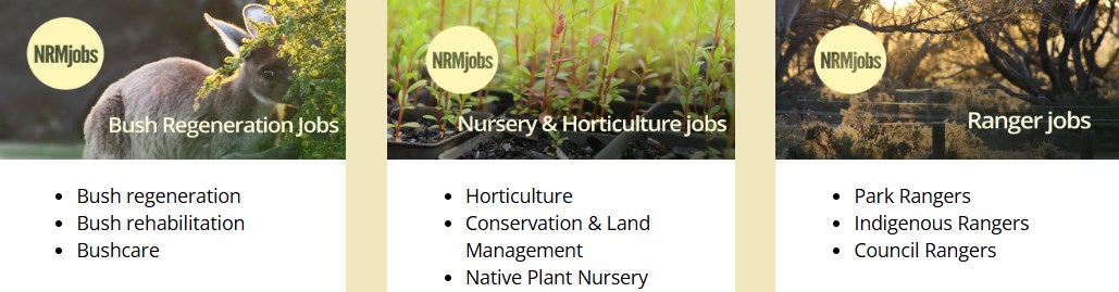 Corporate Broker News -  Online Jobs Board - Environment, Management Sectors